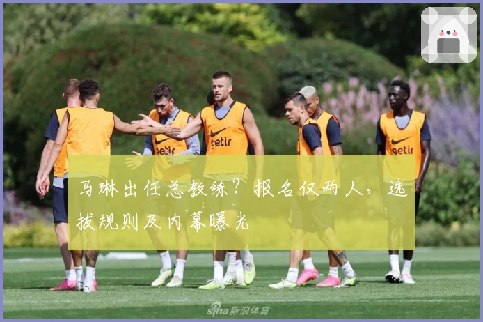 马琳出任总教练？报名仅两人，选拔规则及内幕曝光