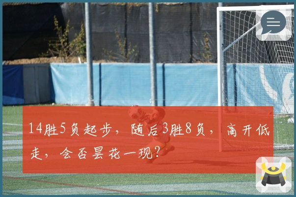 14胜5负起步，随后3胜8负，高开低走，会否昙花一现？